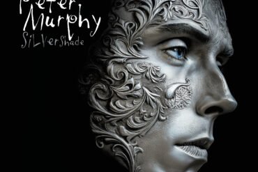 Silver Shade cover 1