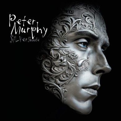 Silver Shade cover 1