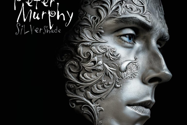 Silver Shade cover 1