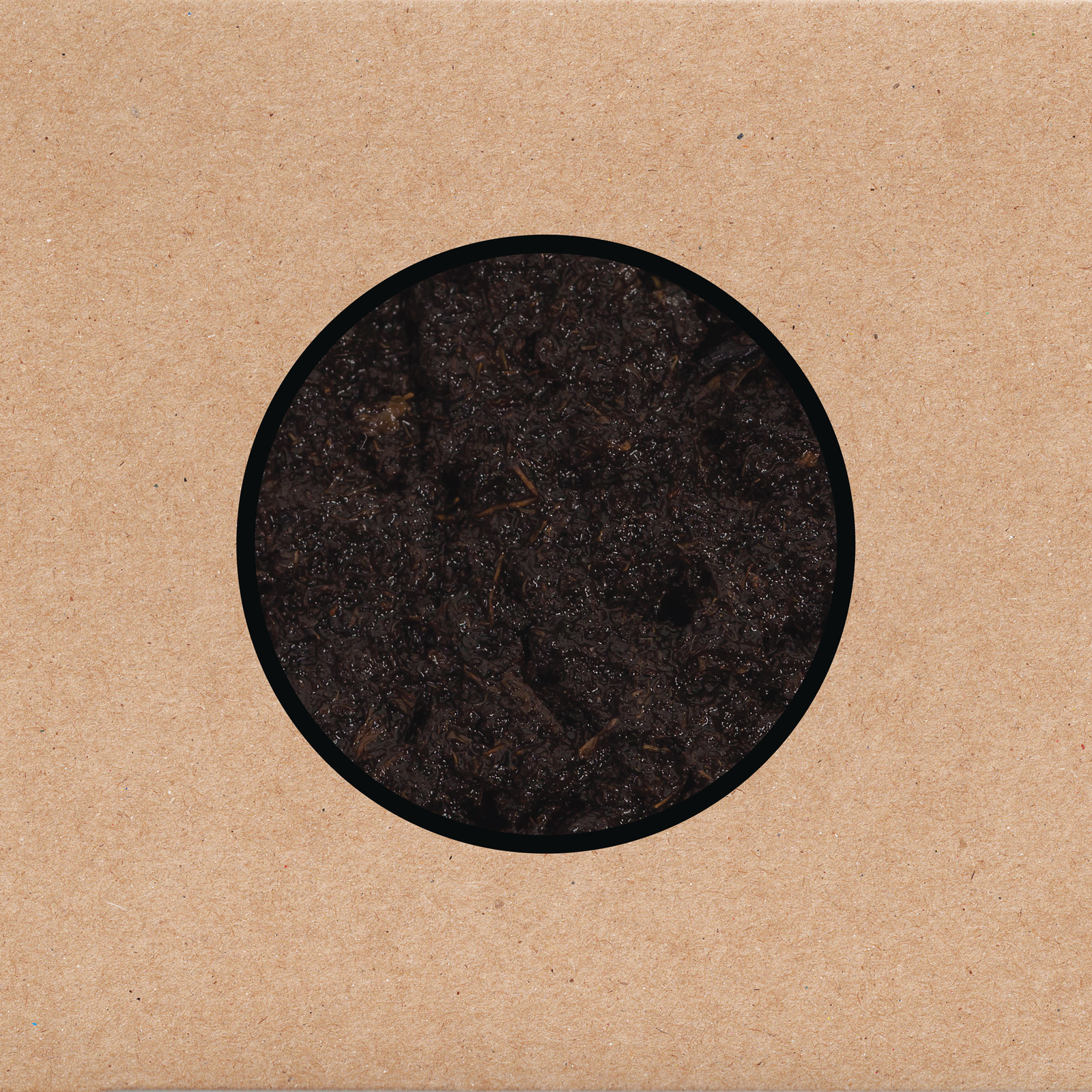 Swans — 'Birthing' 8 image 73