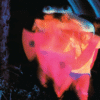 image 38