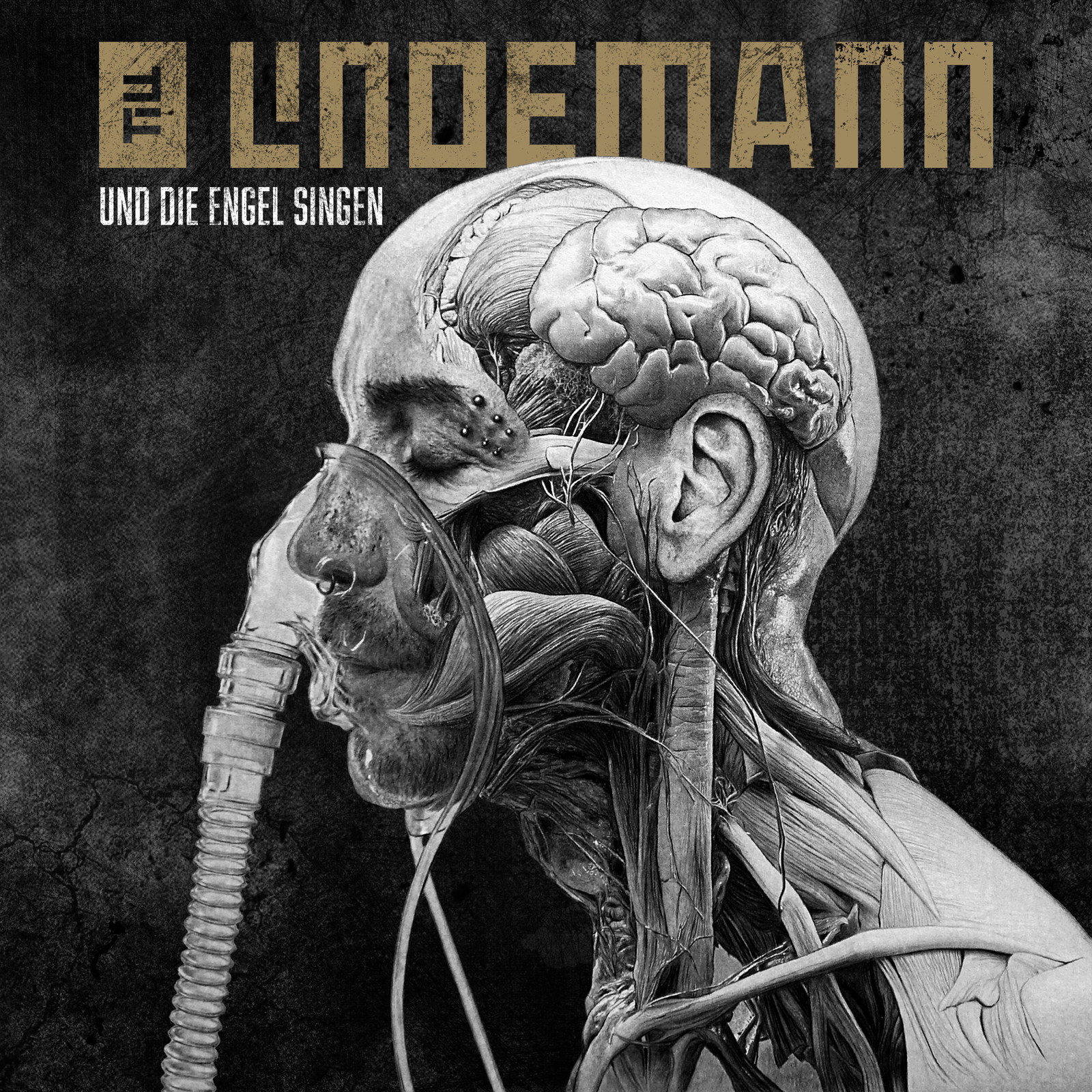 Till Lindemann estrena video, 'Und die Engel singen' 8 image 7