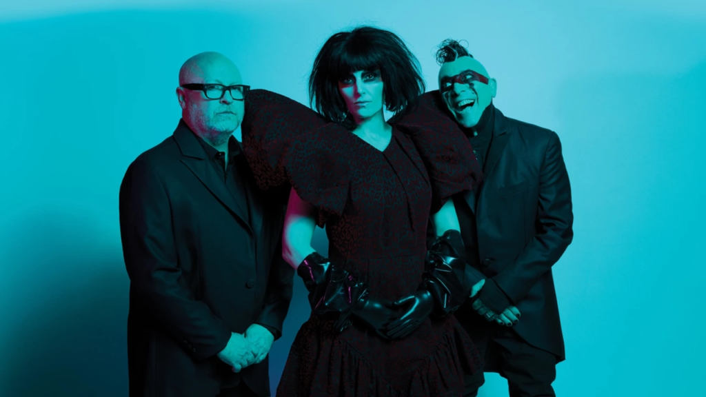 Puscifer — 'Normal Isn't' 10 image