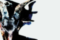 Iowa: El álbum que transformó a Slipknot