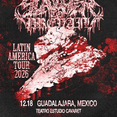 STP Anuncio GDL 3x4